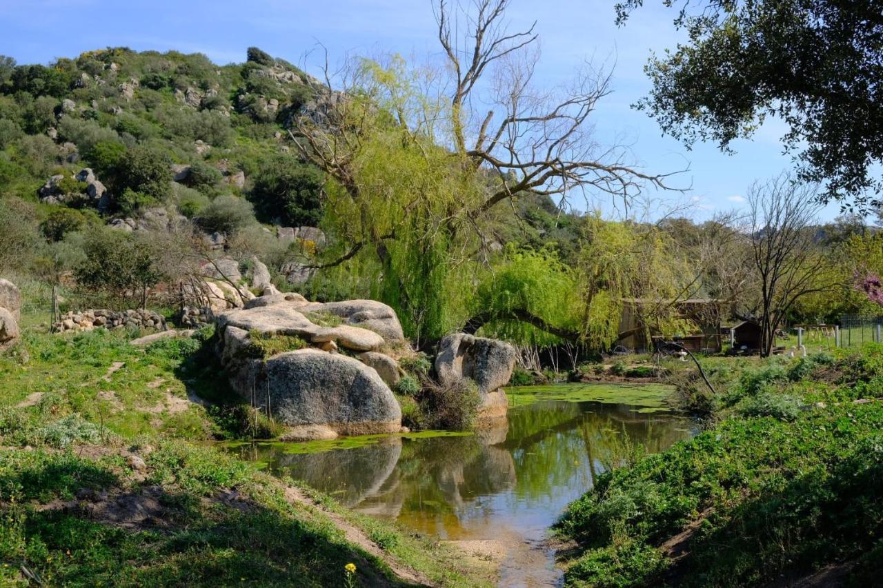 Il Nuraghe Del Lago Coghinas Oschiri Bagian luar foto