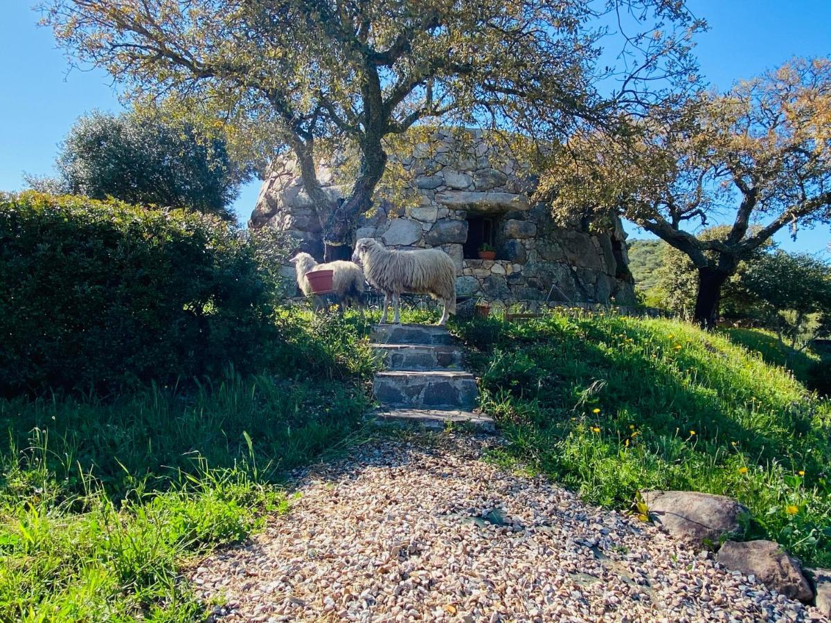 Il Nuraghe Del Lago Coghinas Oschiri Bagian luar foto