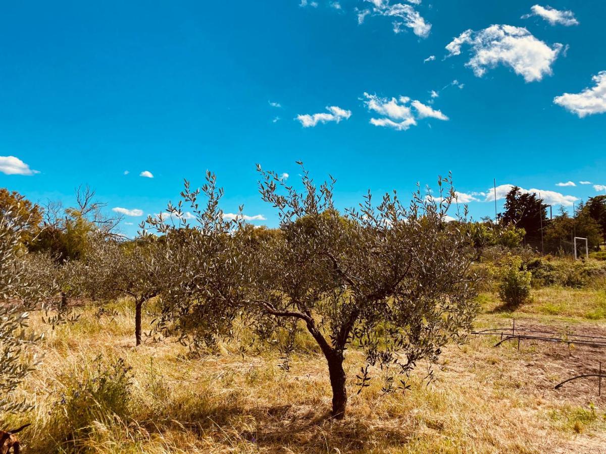 Il Nuraghe Del Lago Coghinas Oschiri Bagian luar foto