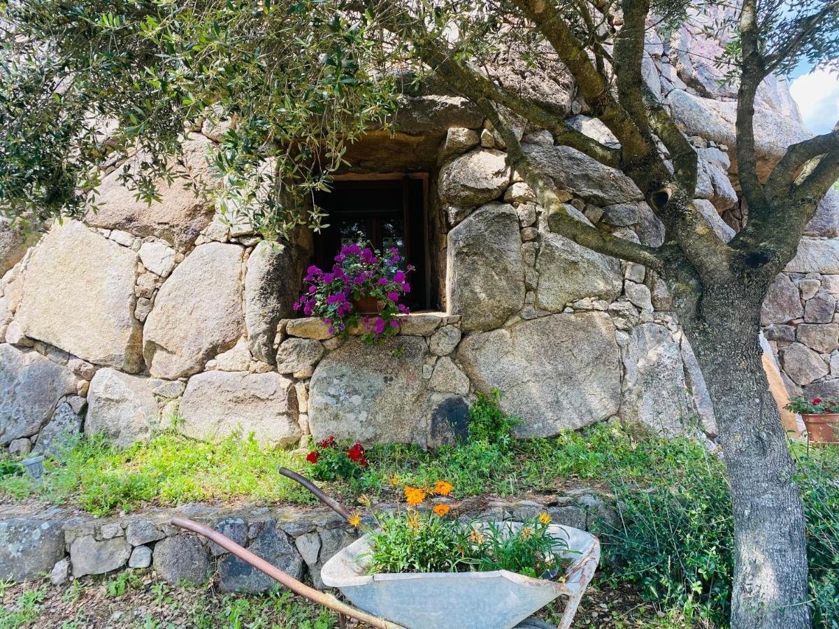 Il Nuraghe Del Lago Coghinas Oschiri Bagian luar foto