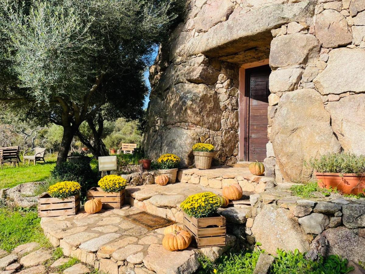 Il Nuraghe Del Lago Coghinas Oschiri Bagian luar foto