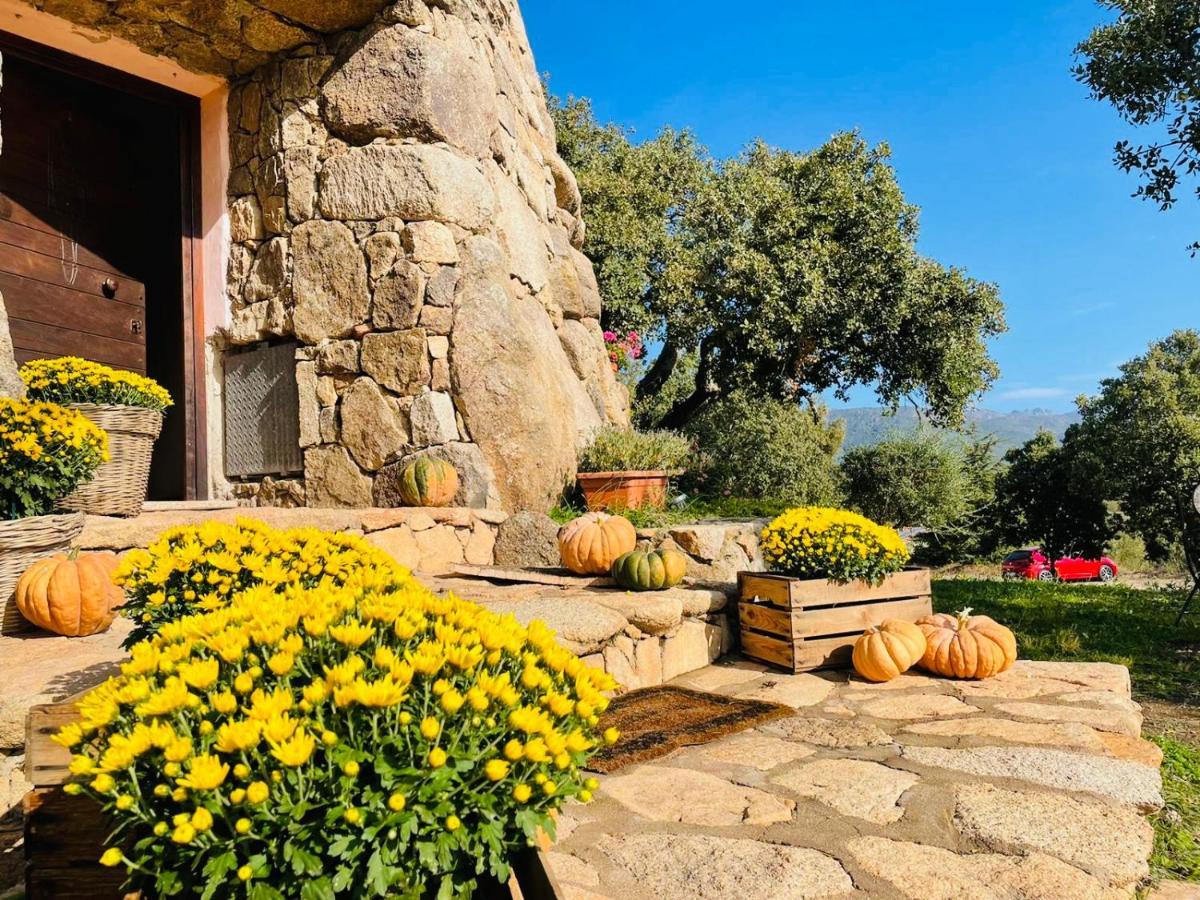 Il Nuraghe Del Lago Coghinas Oschiri Bagian luar foto