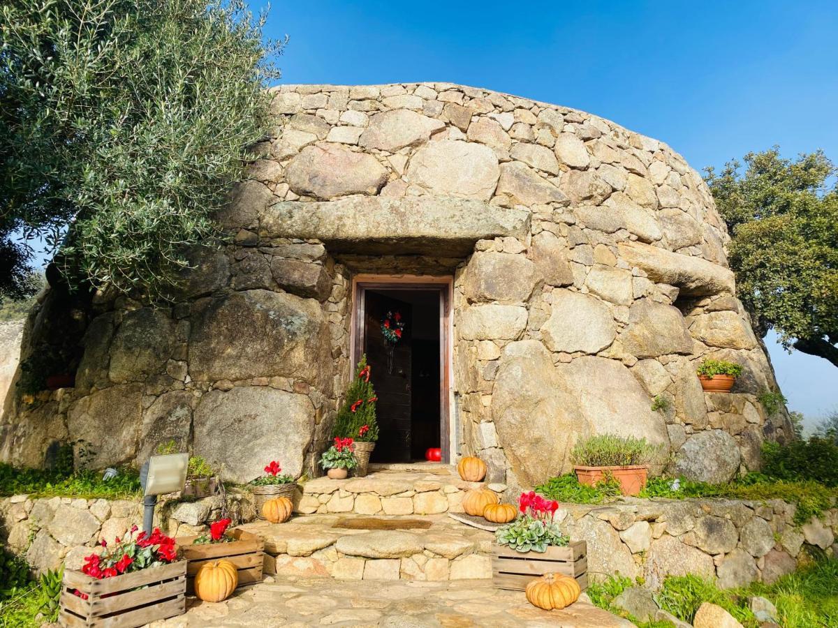 Il Nuraghe Del Lago Coghinas Oschiri Bagian luar foto