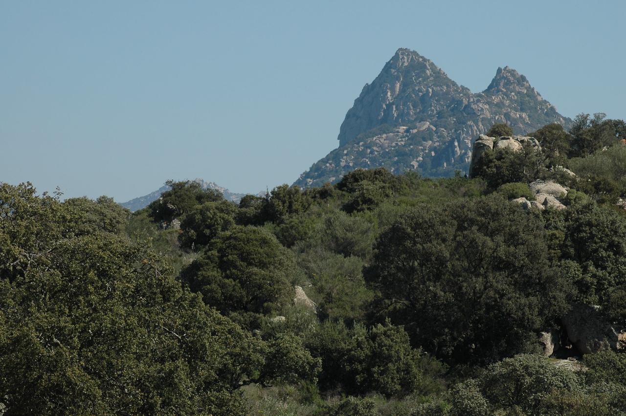 Il Nuraghe Del Lago Coghinas Oschiri Bagian luar foto